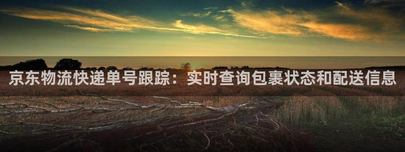 28圈现在狂杀：京东物流快递单号跟踪