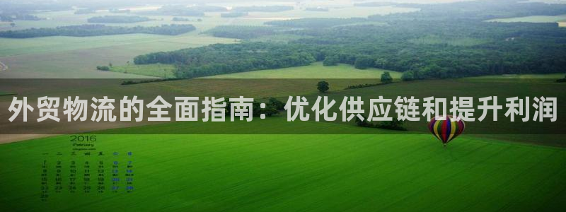 28圈登录：外贸物流的全面指南：优化
