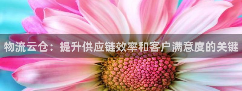 28圈p扣除是什么意思：物流云仓：提
