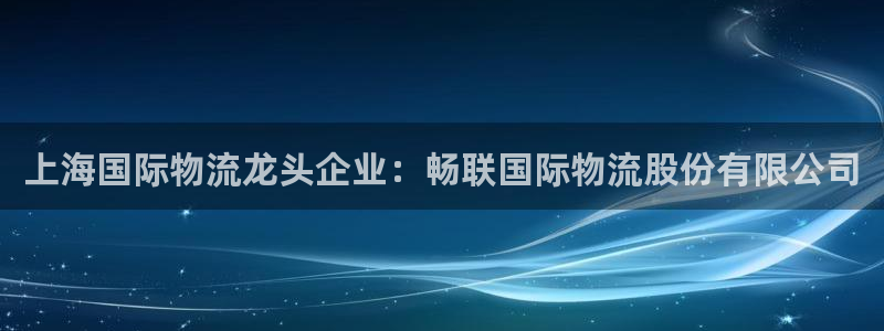 28圈激活码：上海国际物流龙头企业：