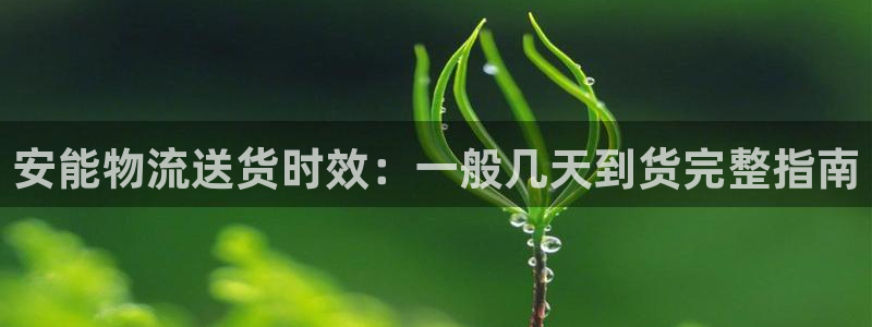 28圈加拿大6.0：安能物流送货时效