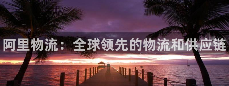 28圈提现不到账：阿里物流：全球领先