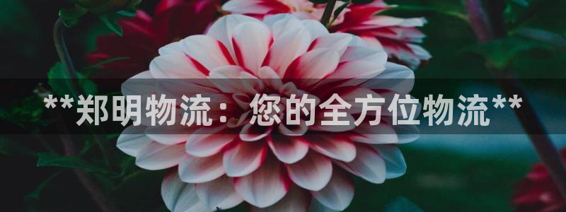 28圈百度百科：**郑明物流：您的全