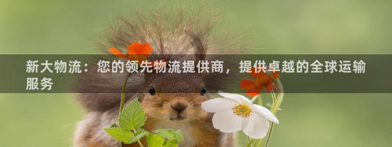 28圈.ccmpc是诈骗吗?：新大物