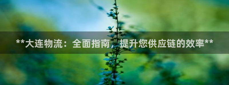 28圈官网下载链接是什么：**大连物