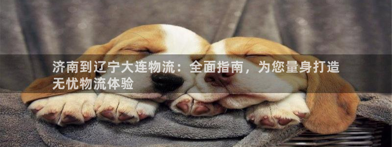 南宫28圈官网版：济南到辽宁大连物流