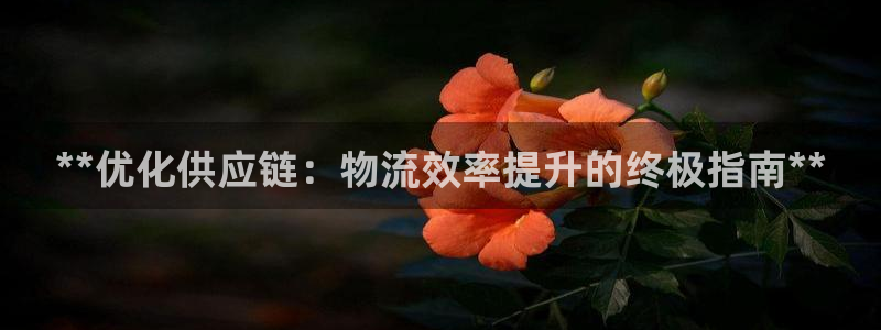 28圈官网下载链接是什么：**优化供应链：物流效率提升的终极