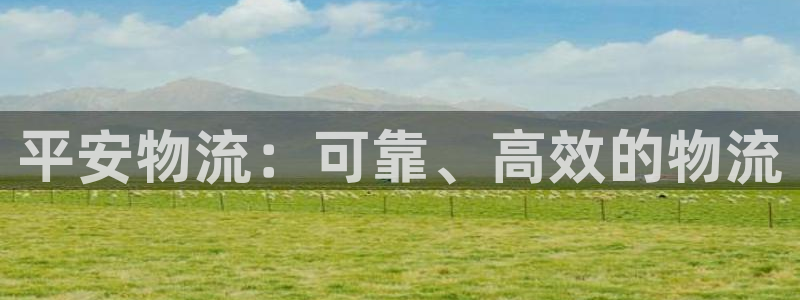 28圈.ccm2024：平安物流：可