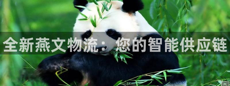 28圈.ccmpc29官网版