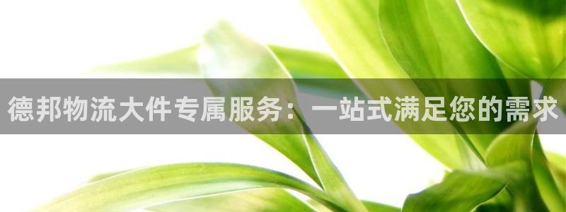 28圈官网版下载