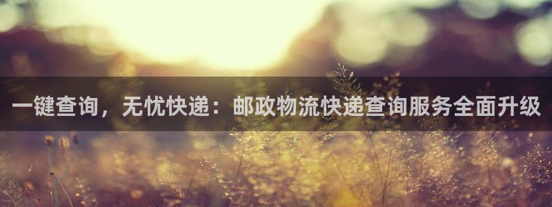 28圈提现不到账