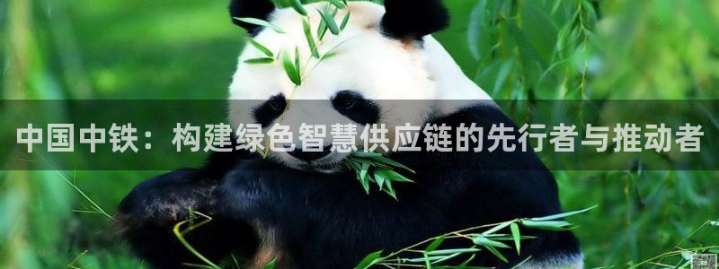 28圈充值不处理会怎么样