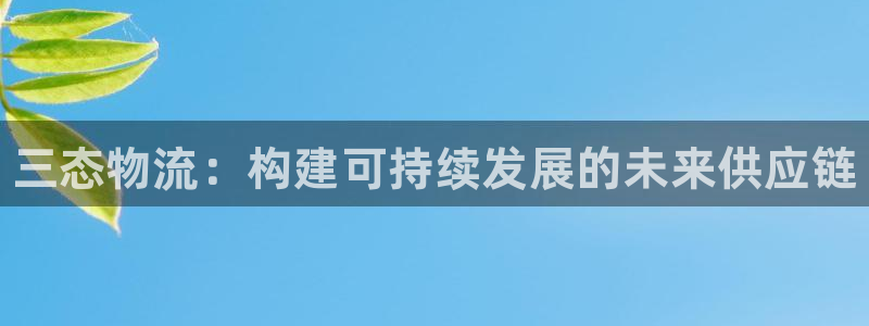 自行车28圈是什么意思：三态物流：构