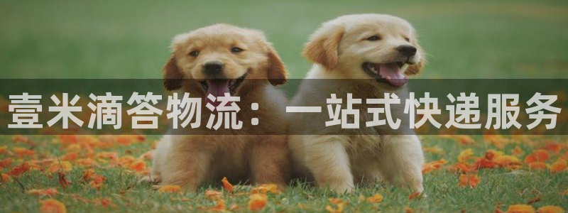 28圈里的财神：壹米滴答物流：一站式