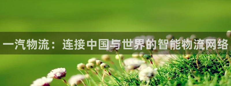 28圈登录:一汽物流:连接中国与世界