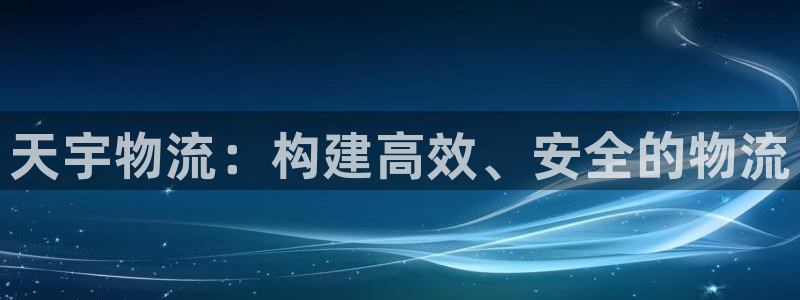 28圈模拟器:天宇物流:构建高效、安