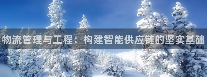 28圈注册网站APP:物流管理与工程