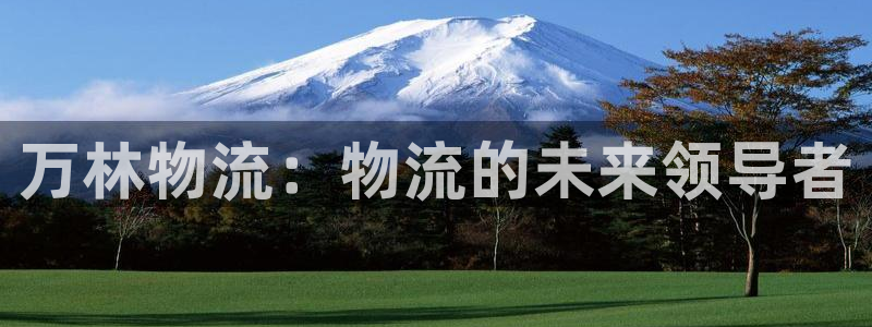 28圈加拿大2.8预测在线预测:万林