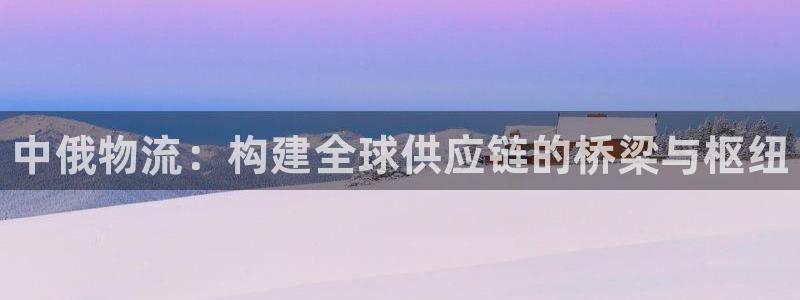 28圈充值不到账什么原因：中俄物流：构建全球供应链的桥梁与枢