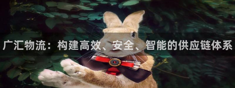 28圈能赢钱吗：广汇物流：构建高效、