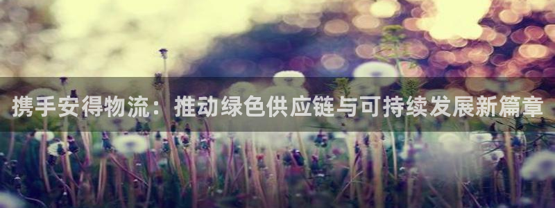 28圈为什么打不开：携手安得物流：推