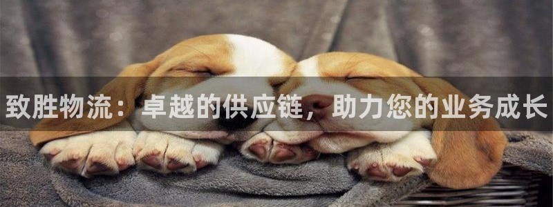 28圈玩法：致胜物流：卓越的供应链，