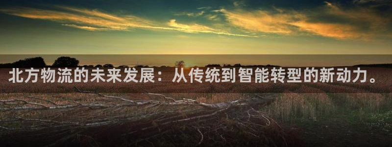 28圈下载体育：北方物流的未来发展：