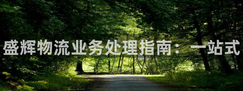 28圈登陆网：盛辉物流业务处理指南：