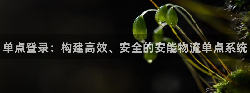 28圈充值金额随便：单点登录：构建高