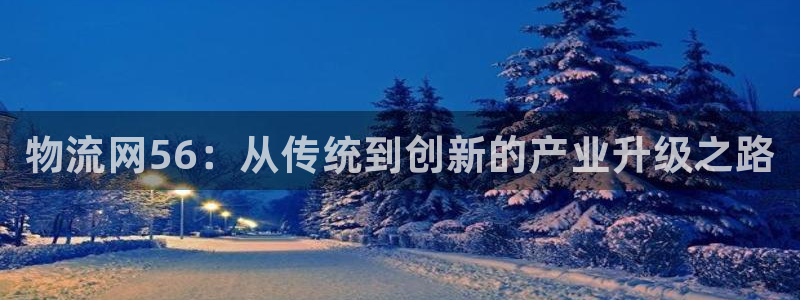 28圈充值不处理怎么办：物流网56：