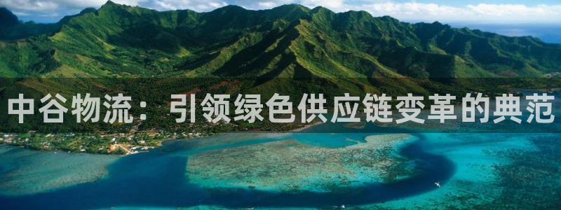 28圈注册与教程：中谷物流：引领绿色供应链变革的典范