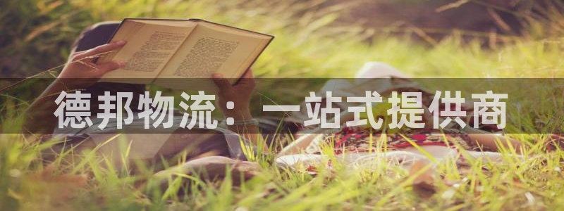 28圈游戏官网版：德邦物流：一站式提
