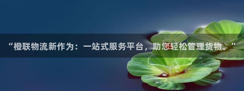 28圈软件是什么：“橙联物流新作为：