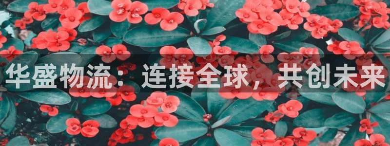 28圈黑平台吗：华盛物流：连接全球，共创未来