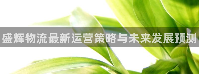 28圈里的财神：盛辉物流最新运营策略