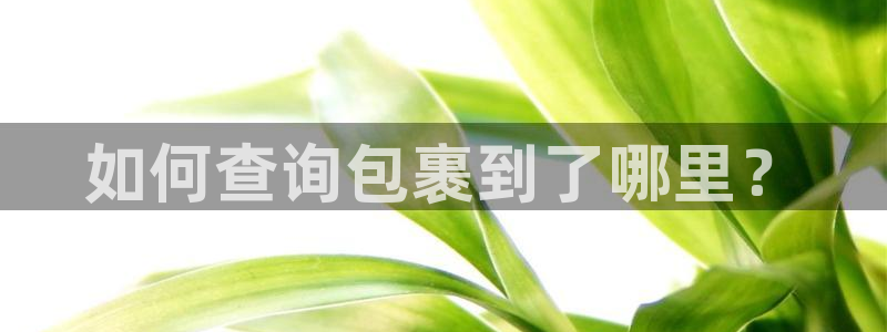 28圈充值不到账