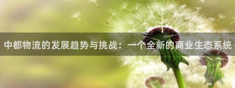 28圈链接多少：中都物流的发展趋势与