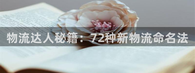 28圈大舞台：物流达人秘籍：72种新物流命名法