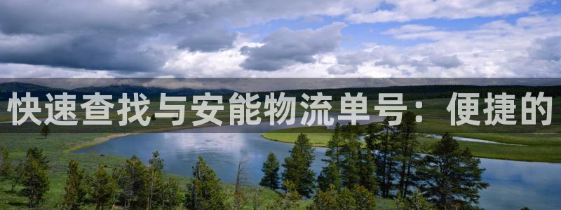 28圈模拟：快速查找与安能物流单号：